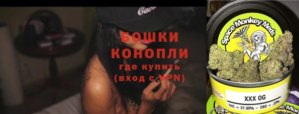 прущие грибы Белокуриха