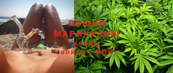 прущие грибы Белокуриха