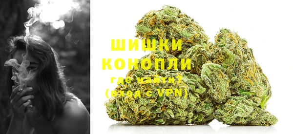 прущие грибы Белокуриха