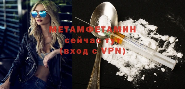 прущие грибы Белокуриха